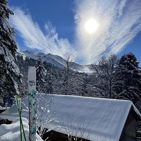 Magnifique 2 Avec Terrasse