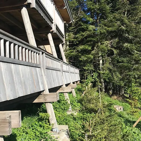 Magnifique 2 Avec Terrasse